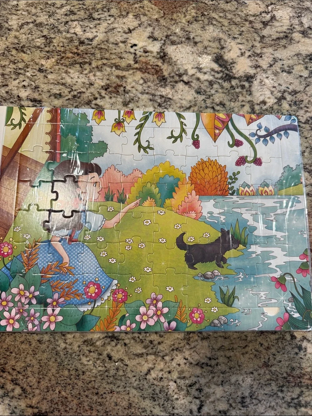 The Wizard of Oz Puzzle Book - Colorful Illustrated Kids Toy
